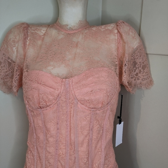 Astr Lacie Illusion Lace Bodysuit Dusty Pink Bustier M NEW - Picture 5 of 13